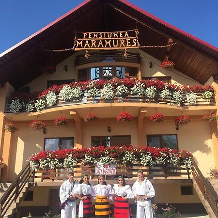 Pensiunea Maramures Ocna Şugatag Екстериор снимка
