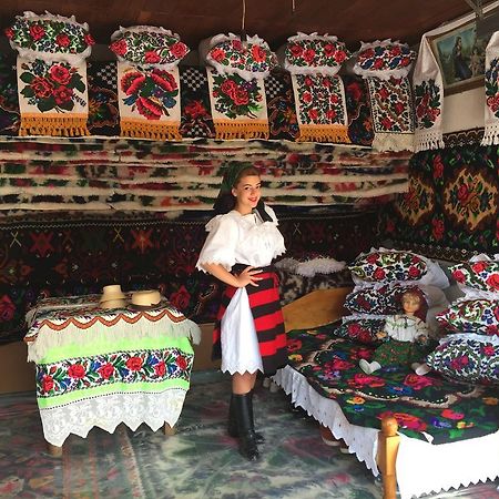 Pensiunea Maramures Ocna Şugatag Екстериор снимка