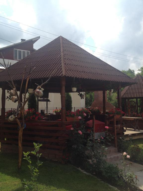 Pensiunea Maramures Ocna Şugatag Екстериор снимка