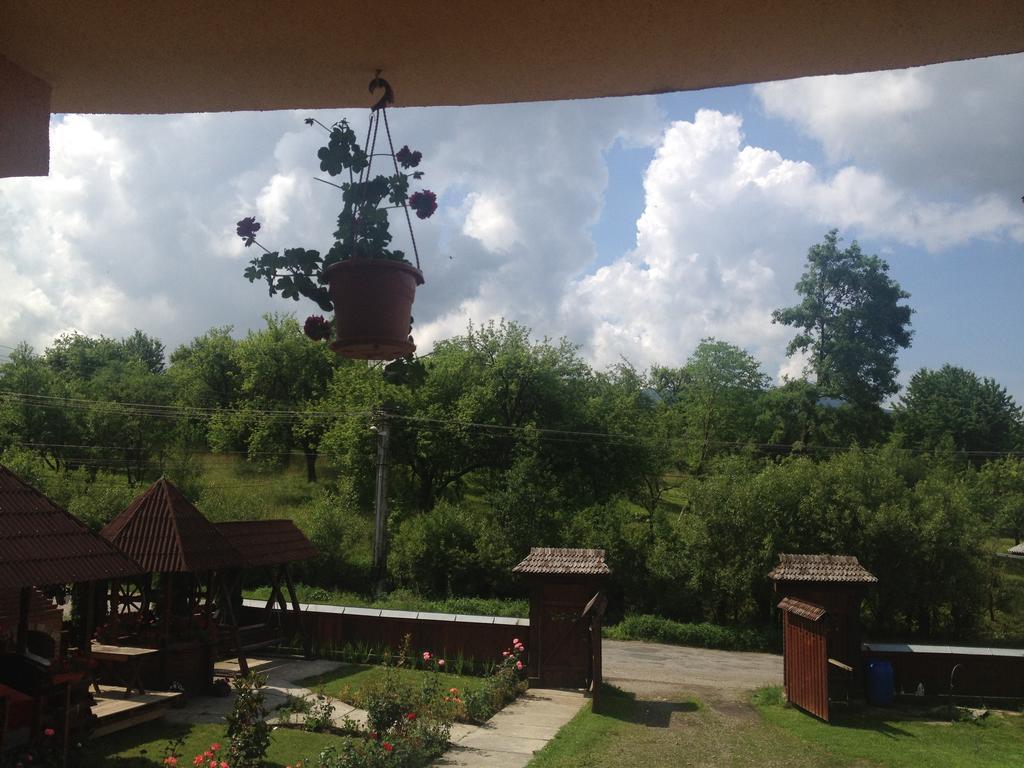 Pensiunea Maramures Ocna Şugatag Екстериор снимка