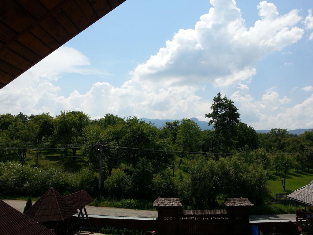Pensiunea Maramures Ocna Şugatag Екстериор снимка