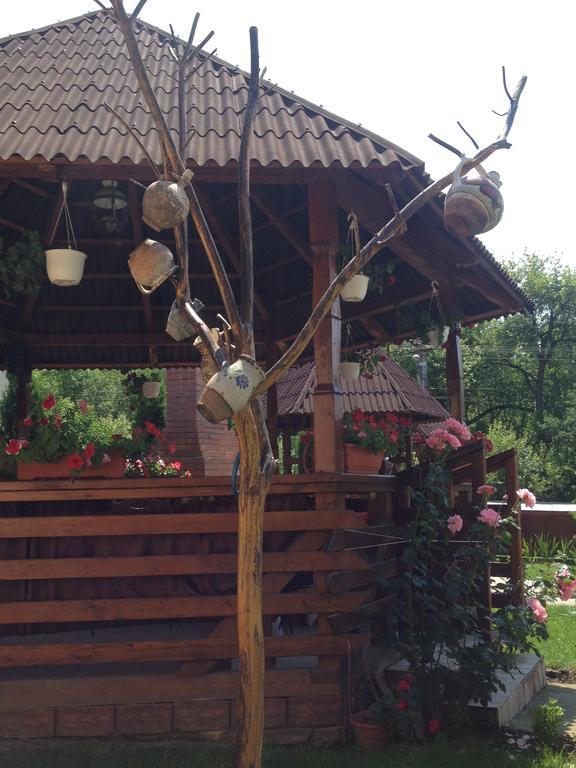 Pensiunea Maramures Ocna Şugatag Екстериор снимка
