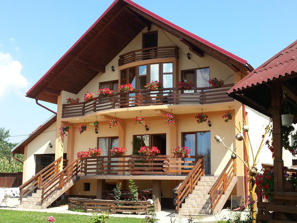 Pensiunea Maramures Ocna Şugatag Екстериор снимка