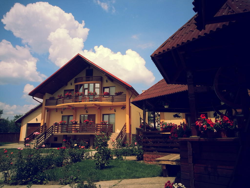 Pensiunea Maramures Ocna Şugatag Екстериор снимка