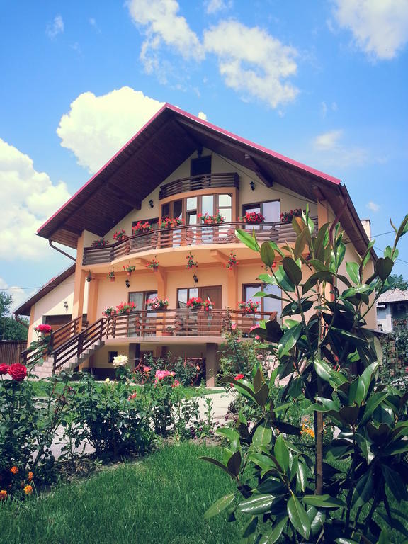 Pensiunea Maramures Ocna Şugatag Екстериор снимка