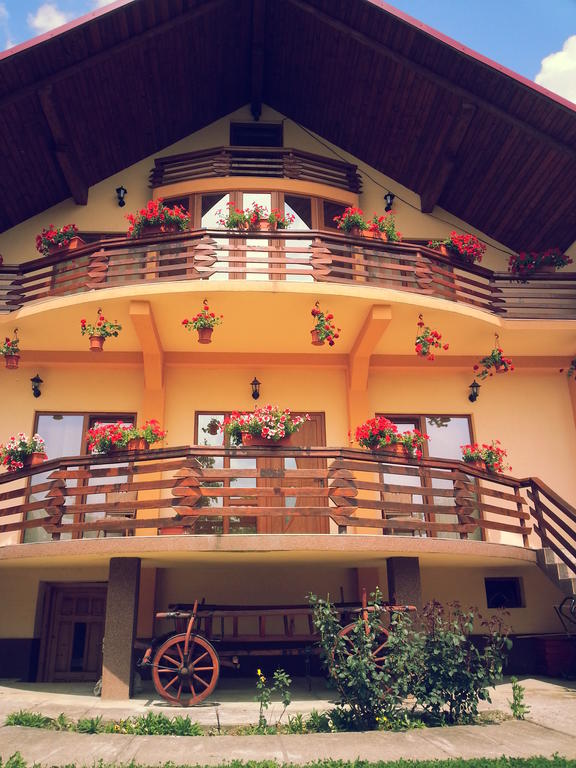 Pensiunea Maramures Ocna Şugatag Екстериор снимка