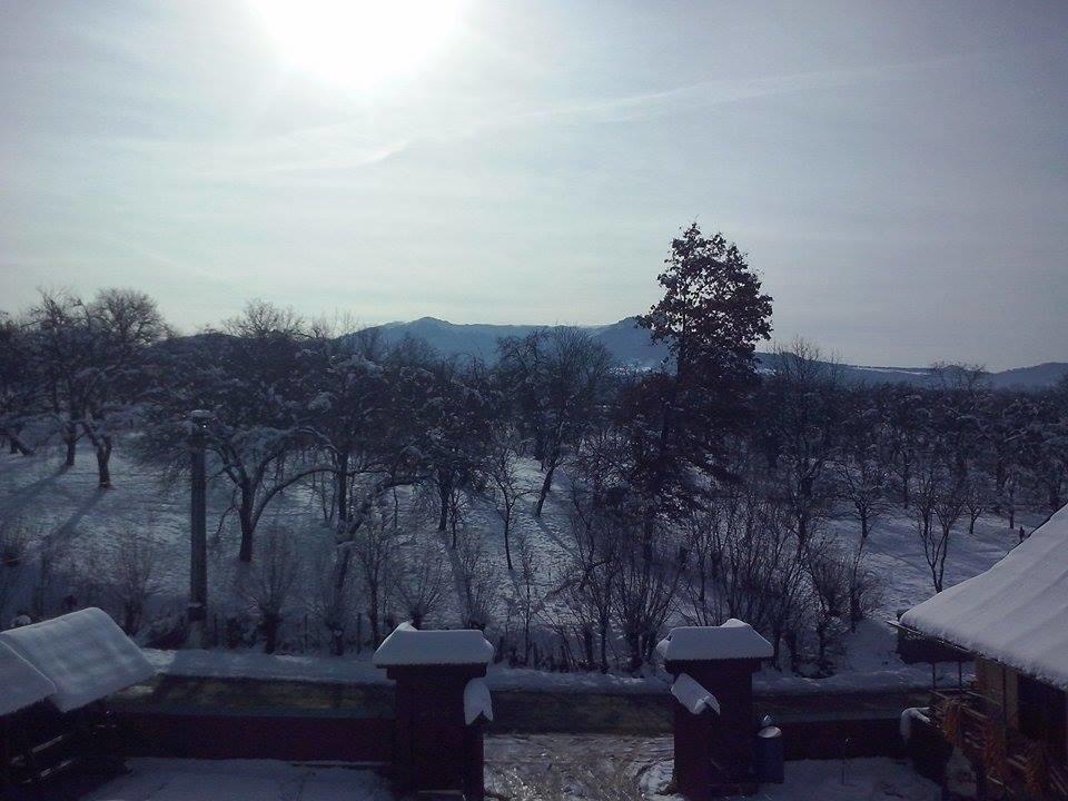 Pensiunea Maramures Ocna Şugatag Екстериор снимка
