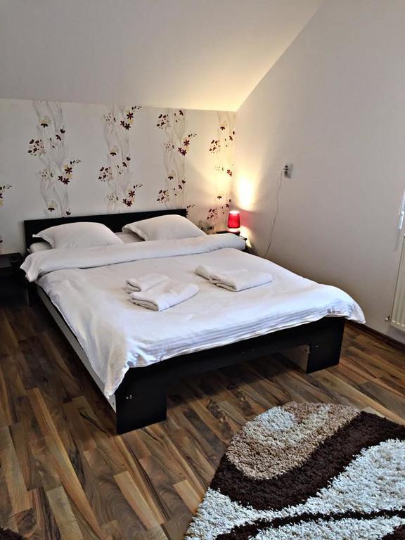 Pensiunea Maramures Ocna Şugatag Екстериор снимка