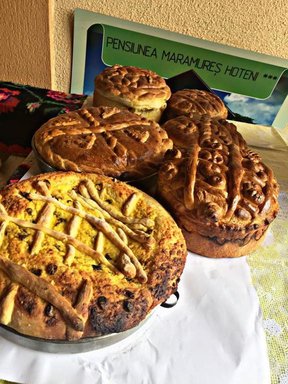 Pensiunea Maramures Ocna Şugatag Екстериор снимка