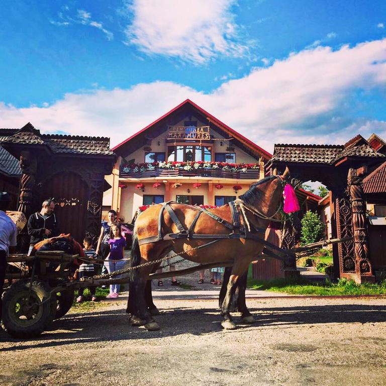 Pensiunea Maramures Ocna Şugatag Екстериор снимка