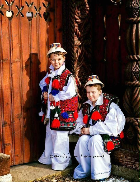 Pensiunea Maramures Ocna Şugatag Екстериор снимка
