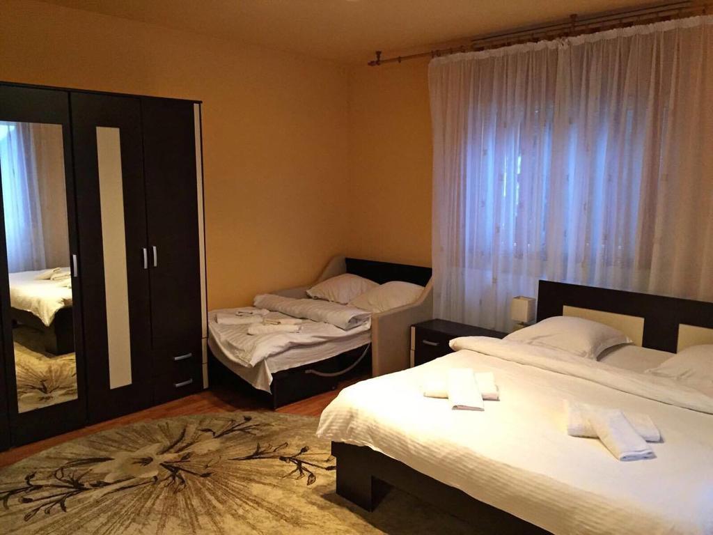 Pensiunea Maramures Ocna Şugatag Екстериор снимка