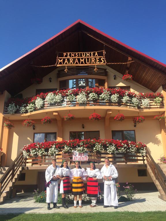 Pensiunea Maramures Ocna Şugatag Екстериор снимка