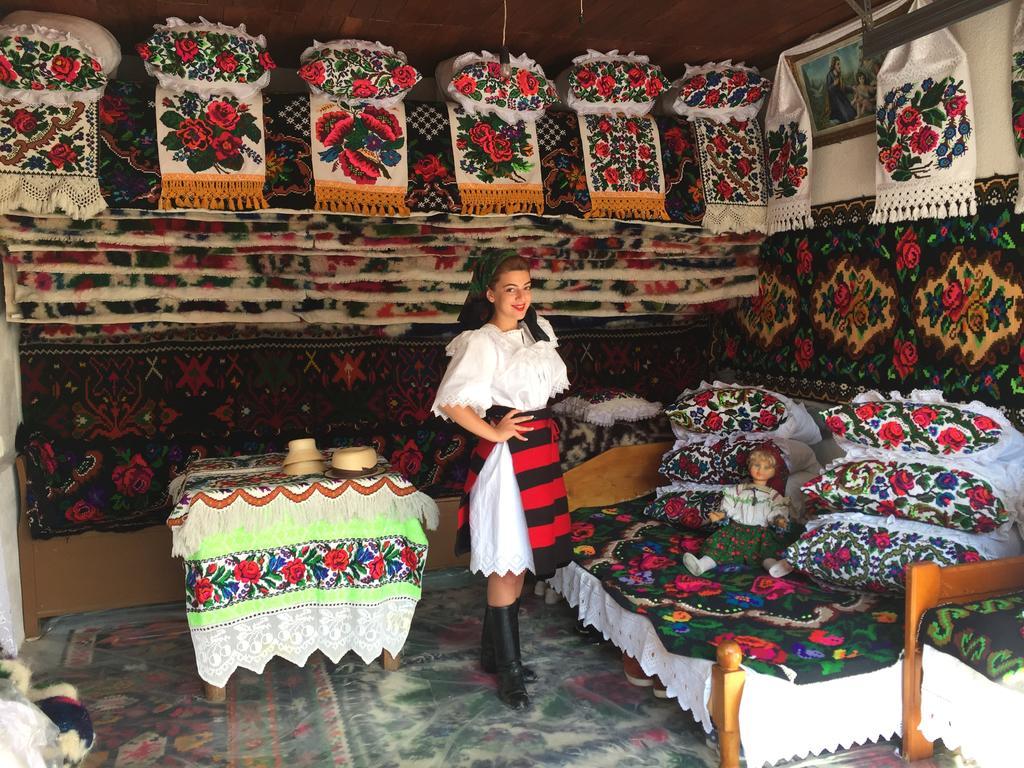 Pensiunea Maramures Ocna Şugatag Екстериор снимка