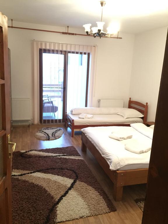 Pensiunea Maramures Ocna Şugatag Екстериор снимка